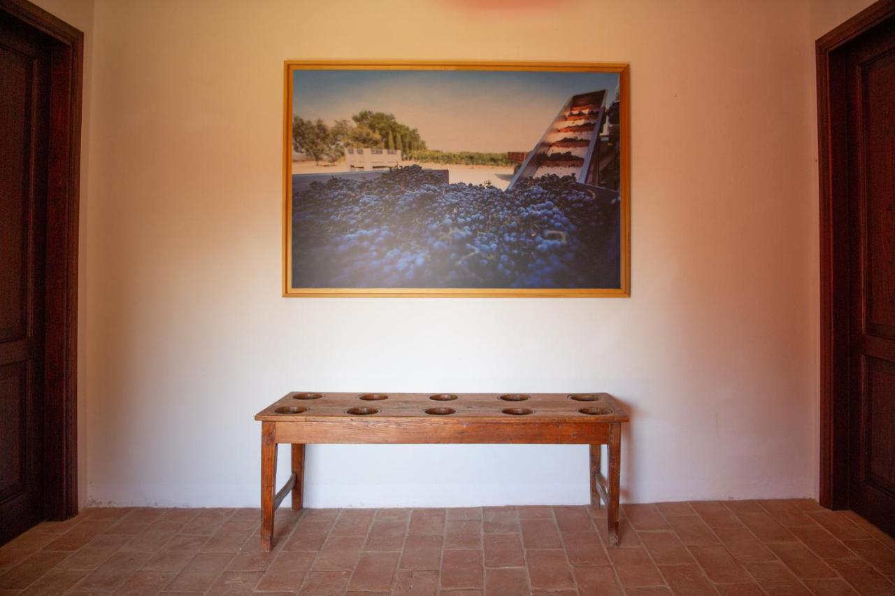 Tenuta Pianirossi Cinigiano Extérieur photo